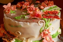 Tortul primaverii/Spring cake
